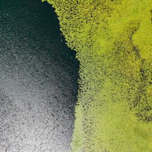 Échos de la Nature – Tirage d’Art