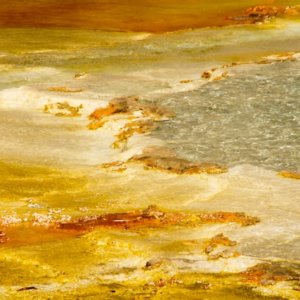 Horizon Doré – Huile sur Toile